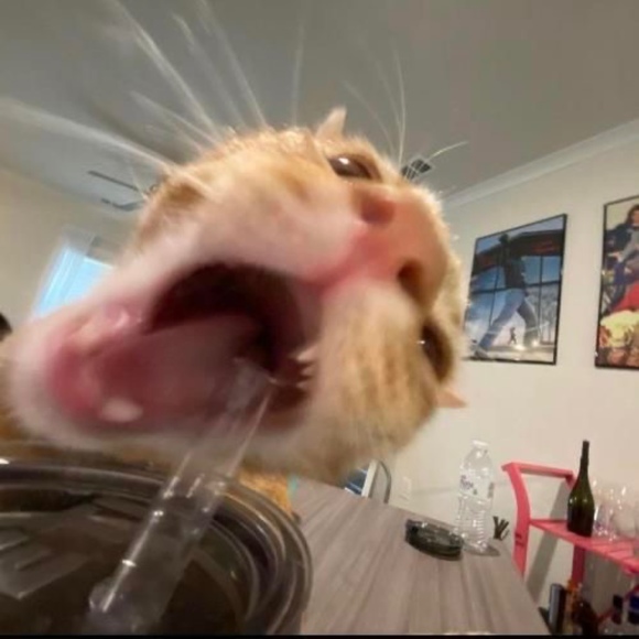 peachberriess